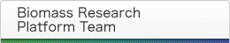 Biomass Research Platform Team